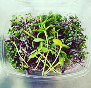 Micro Herbs salad box - Monthly pre-order & Collection in-store only (order before 15th of each month)